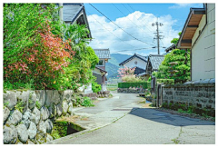 nice丶里昂采集到风景