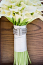 马蹄莲Calla lily，天南星科球根花卉。原产非洲南部，自然花期从3到8月。马蹄莲花语：博爱圣洁，虔诚永恒，优雅高贵，纯洁无暇的爱。