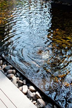 宝宝西米露采集到水景