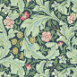 纹样
William Morris ​​​​