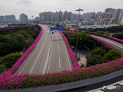 卡车小红采集到D-道路