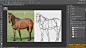 【新提醒】PS与AI动物传统绘画技巧视频教程 - Photoshop - CG帮美术资源网 -