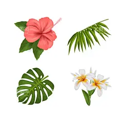 花卉 矢量花  - 源文件下载【酷图网】花卉,矢量花,花朵,红蓝玫瑰,月季,北欧风格元素,绿叶植物,贺卡,花草,花卉植物,鲜花,