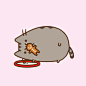 #设计秀# 胖就胖了，做一个萌萌的吃货吧。  Pusheen ​​​​