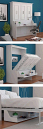Tiny House Living Idea - Murphy Bed/Desk: 