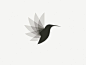 Hummingbird by Vladimir Mirzoyan - Sorry Vlad but I don't like it. It reminds me of Twitter so it looses all brand identity in an instant. #NerdMentor: 