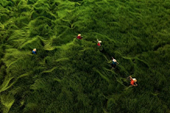 啊！超人采集到背景