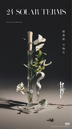 胖发达采集到随机