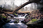 Photograph The small creek by Michael B. Rasmussen on 500px