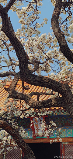 六月emmm采集到场景素材