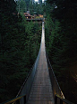 卡普兰奴吊桥，温哥华，不列颠哥伦比亚省，加拿大 
