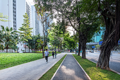 富川sz采集到市政道路