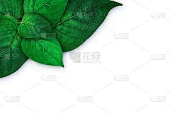 俯视图的小气喘在地面上