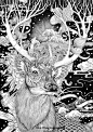 麓湖未发布的一张鹿《Dream-RLoN