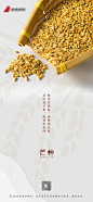 【源文件下载】 海报 二十四节气 芒种 成熟 麦子 简约