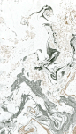 webp(34)