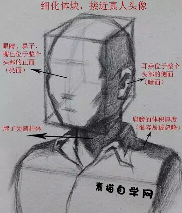 素描头像五官体块概括
