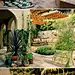 【庭院深深】为了突出此房屋的经典加利福尼亚式地中海风格，Tommy Chambers设计公司对其外部景观倾注了特殊的关注。为此，他们借鉴了西班牙地中海沿岸的明亮色彩，热带植物及其它几何图案。大图欣赏：http://t.cn/zlUox6s