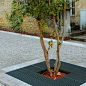 Tree border
