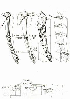 沫潼采集到人体练习