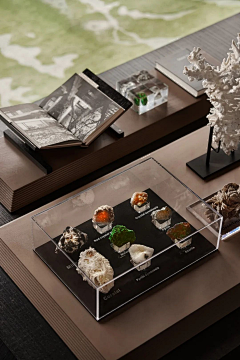 软装陈设-沈俊采集到饰品