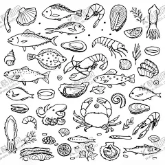 海鲜合集 【酷图网】海鲜合集,线条鱼,线条贝壳,线条鱼片,线条鱼块,八爪鱼,墨鱼,对虾,线条美食,矢量海鲜,卡通海鲜,手绘海鲜,海鲜插画,水彩海鲜,线条海鲜,海鲜美食,海鲜元素,海鲜素材,手绘食物,矢量海洋生物,水彩海洋生物,线条海洋生物,海洋生物合集,鱼类,虾类,海鲜图标,海洋生物图标
