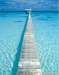 【世界八大最梦幻的岛屿】1．马尔代夫：天堂不过如此 2．沙巴：风景如画 3．塞舌尔：世上最美的群岛 4．斐济：迎来第一缕阳光 5．菲律宾：西太平洋散落的明珠 6．巴厘岛：蜜月圣地 7．巴哈马：奇幻海世界 8．夏威夷：彩色水世界。