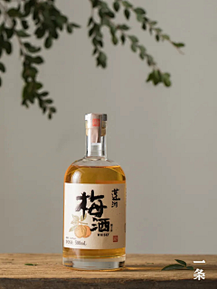 星月凡天采集到白酒