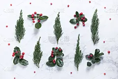 背景,自然,贺卡,圣诞装饰物,冬天,图像,雪花,枝,装饰物