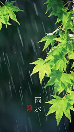 珍藏版丨中国二十四节气手机壁纸，绝美！