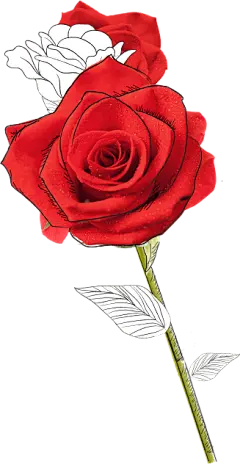 @冒险家的旅程か★
png植物 花朵 鲜花 绿叶 花环 水彩 手绘 彩铅 小清新 插画 玫瑰 红花