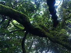 花拓野采集到院子