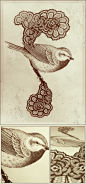 songbirds on the Behance Network