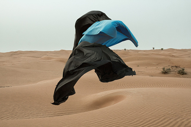 Jiani Lu on Behance