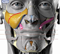 13558887_973743246058158_8649808983984988414_o.jpg (imagem JPEG, 1096 x 995 pixeis)