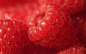 General 1920x1200 closeup raspberries red vibrant food fruit berries