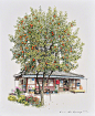《即将消失的杂货店系列》来自韩国插画家Me Kyeoung Lee的手绘作品。平实而温暖的绘画中充满细节，堆叠的蔬菜水果箱、停放的自行车、立起的扫帚、盆栽.....以及一年四季小卖部门前的树木。 ​​