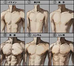 #绘画参考# 肌肉绘画参考