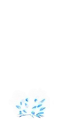 鸭鸭拼命采集到序列