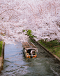 Photo by  Ji Yeon 지연 on February 24, 2024