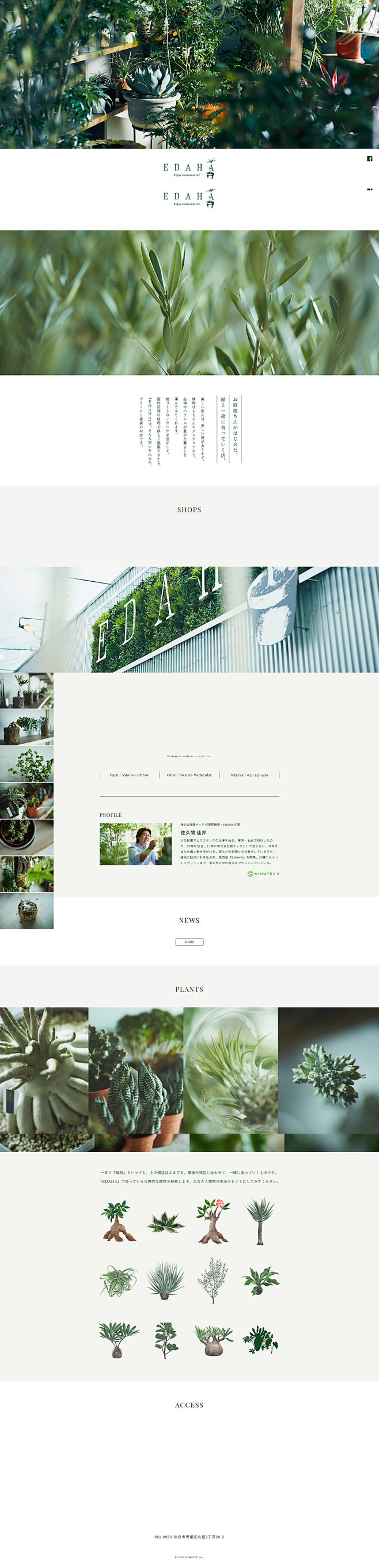 EDAHA多肉植物日本企业网站