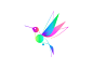 Colibri 