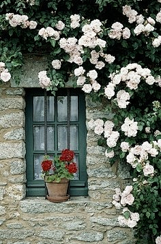 花背景花素材花墙