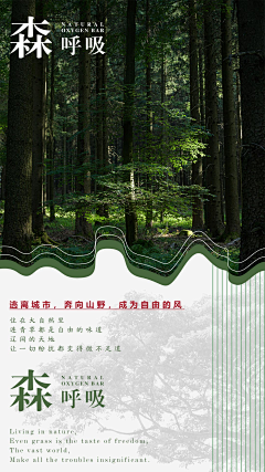 MAAYYYY采集到森系