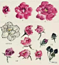 国画教程：水仙、玉兰、芍药等8种花卉写意画法图解