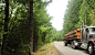 Trucks transporting trees: 1 thousand results found on Yandex Images