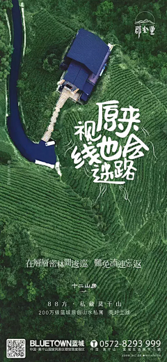 我是一块神奇饼干采集到背景—森林