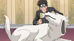 火影忍者：忍犬全介绍，犬冢牙的忍犬赤丸是萨摩耶？