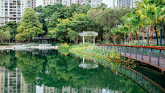 海边的卡夫包子采集到场所—滨水空间