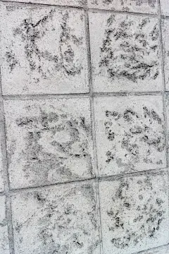 背景,纹理,美术工艺,砖,边框,壁纸,复古风格,古典式,2015年,城市